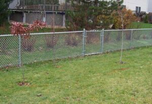 Garden with chain link galvanized fence 