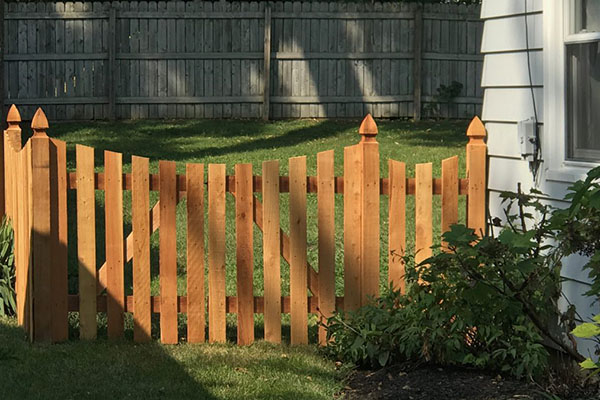 A new Wooden Fence in the Backyard. A new Wooden Fence in the Backyard.