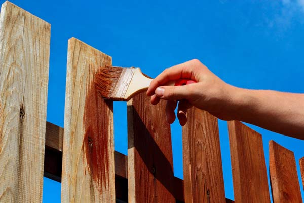 Varnish for Your Fence
