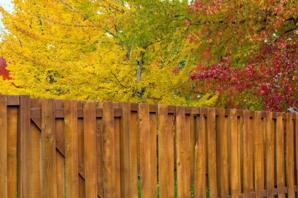 wooden fence