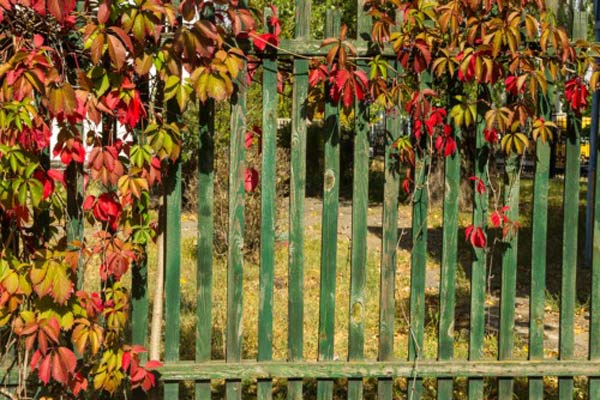 Fall Fence Styling