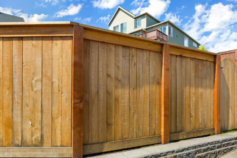 Backyard new wood fence